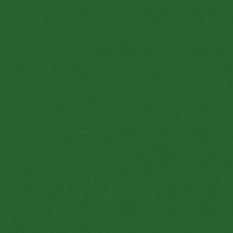 Краска аэрозольная (6002) 20406