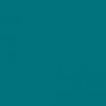 Краска аэрозольная (5021) 34226