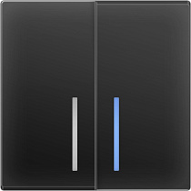 Выключатель двухклавишный с подсветкой (черный матовый) W1120108 WERKEL 42383
