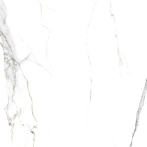 Вива Керамогранит белый SG169700N 40,2х40,2 матовый