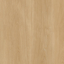 Керамогранит Albero Beige PT12F7041 1200х600х9мм матовый (Уп.1,44м2/2шт) 77761