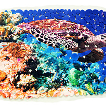 Spa-коврик д/ванной AQUA-PRIME 38*68см Черепаха 48480