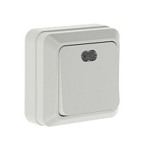 Выключатель 1-кл. ОП Олимп 10А IP20 с индик.белый  О0121 56840
