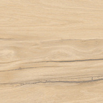 Сельва ПРО керамогранит бежевый SG517620R 19,6х119,1 матовый структурный R10/B