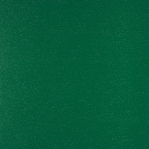 Краска аэрозольная (6005) 20405