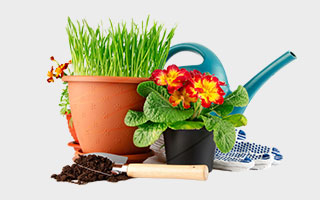 Товары для дома и сада